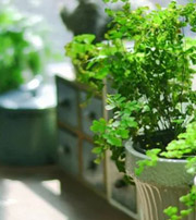 抚州专属于你的开运指南，助你鸿运当头福满身！